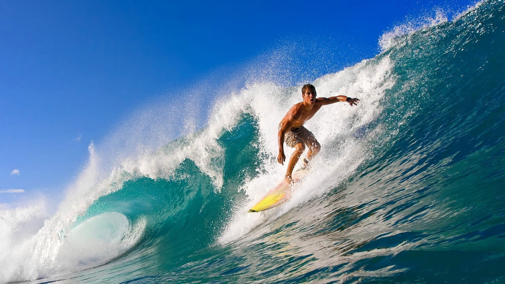 全国柔道冠军赛决赛日 多届冠军与新秀上演强强对决,全国柔道冠军都有谁